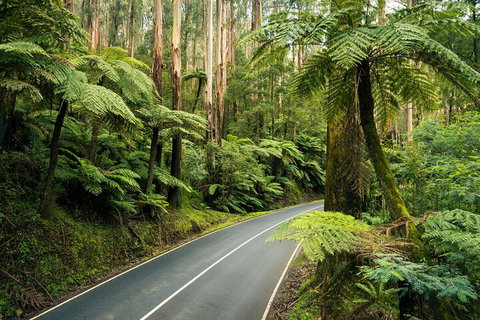 Melbourne Snow Trip To Lake Mountain With Chocolates Visit To A Waterfall - Australian Directory 2