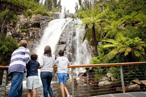 Melbourne Snow Trip To Lake Mountain With Chocolates Visit To A Waterfall - Australian Directory 3