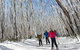 Melbourne Snow Trip To Lake Mountain With Chocolates Visit To A Waterfall - thumb 5