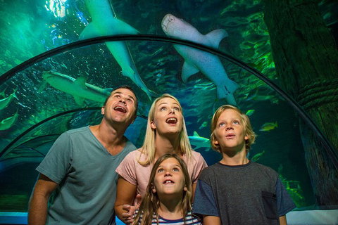 SEA LIFE Sunshine Coast Aquarium Entrance Ticket - Australian Directory 3