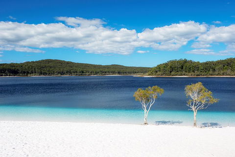 All-Inclusive Fraser Island Day Tour - Australian Directory 3