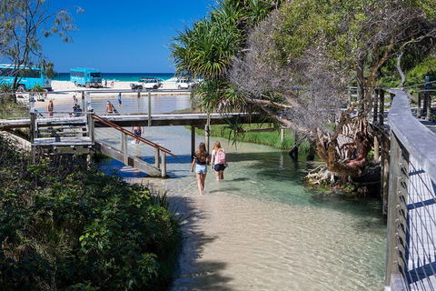 All-Inclusive Fraser Island Day Tour - Australian Directory 4