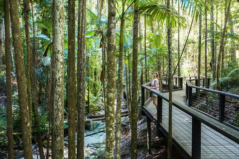All-Inclusive Fraser Island Day Tour - Australian Directory 5
