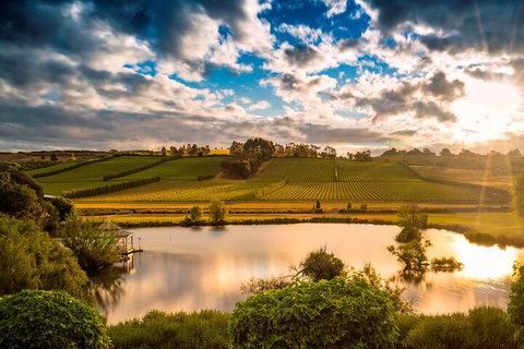 Josef Chromy Wines Winery Tour Including Tasting And Lunch - Australian Directory 3