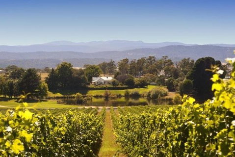 Josef Chromy Wines Winery Tour Including Tasting And Lunch - Australian Directory 4