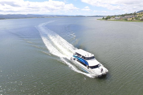 2.5 Hour Morning Discovery Cruise Including Sailing Into The Cataract Gorge - Australian Directory 2