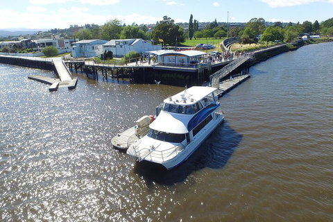 2.5 Hour Morning Discovery Cruise Including Sailing Into The Cataract Gorge - Australian Directory 3