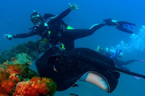 Scuba Dive The S.S. Yongala Wreck On The Great Barrier Reef. - Australian Directory 0