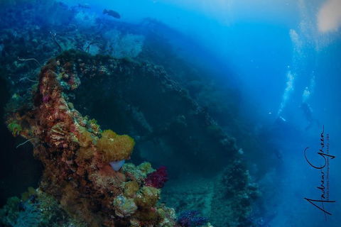 Scuba Dive The S.S. Yongala Wreck On The Great Barrier Reef. - Australian Directory 3
