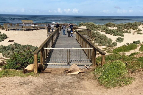 Kangaroo Island 4WD Tour - Best Of KI - Australian Directory 2