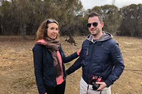 Kangaroo Island 4WD Tour - Best Of KI - Australian Directory 3