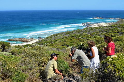 Margaret River Coastal And Wildlife Eco Trip From Busselton Or Dunsborough - Australian Directory 2