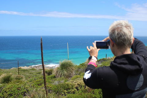 Margaret River Coastal And Wildlife Eco Trip From Busselton Or Dunsborough - Australian Directory 3