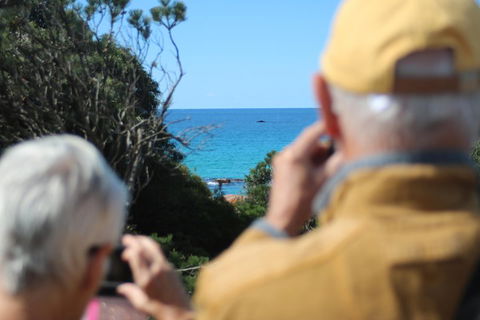 Margaret River Coastal And Wildlife Eco Trip From Busselton Or Dunsborough - Australian Directory 5